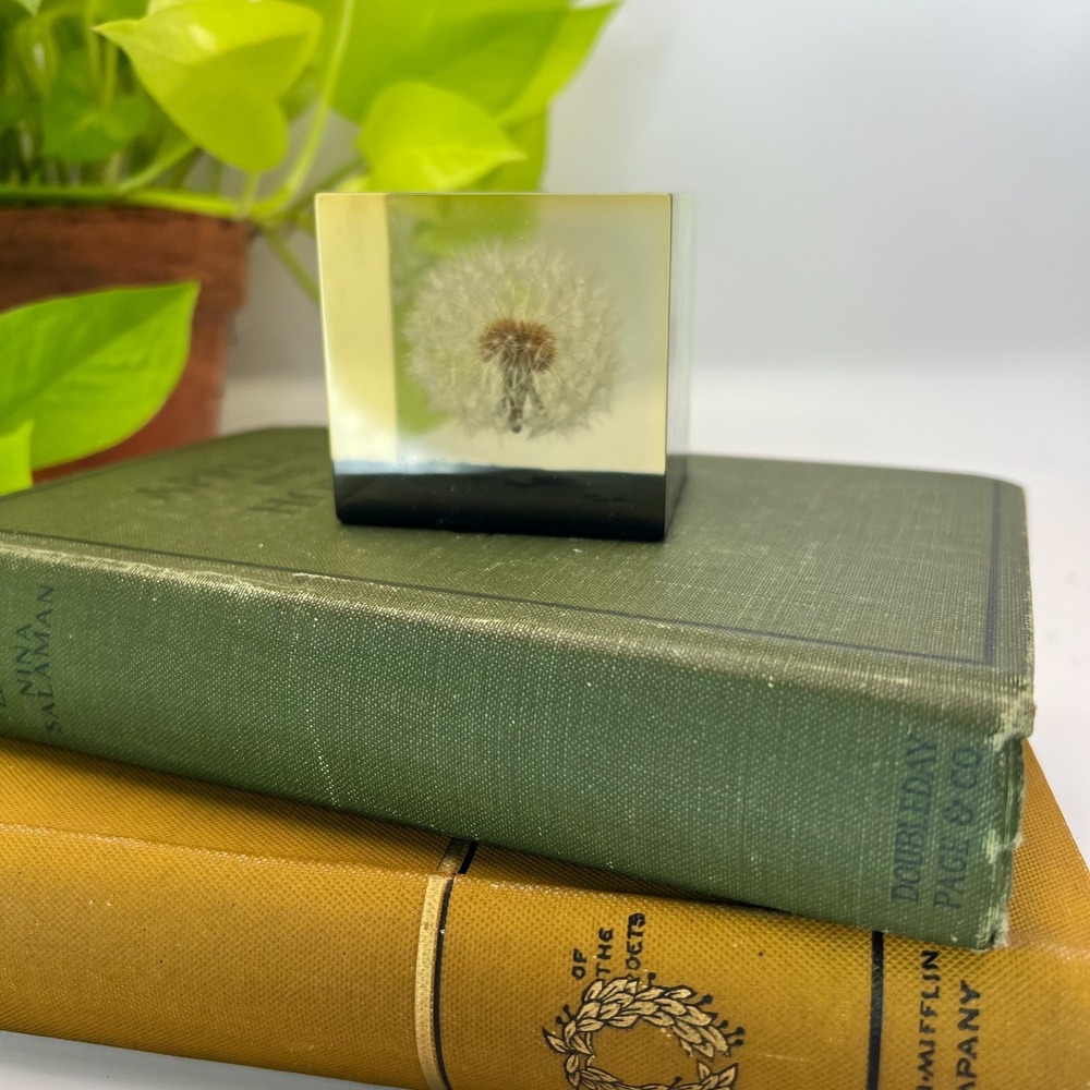 Vintage Shoreline Products Dandelion Resin Paperweight Botanical Cube